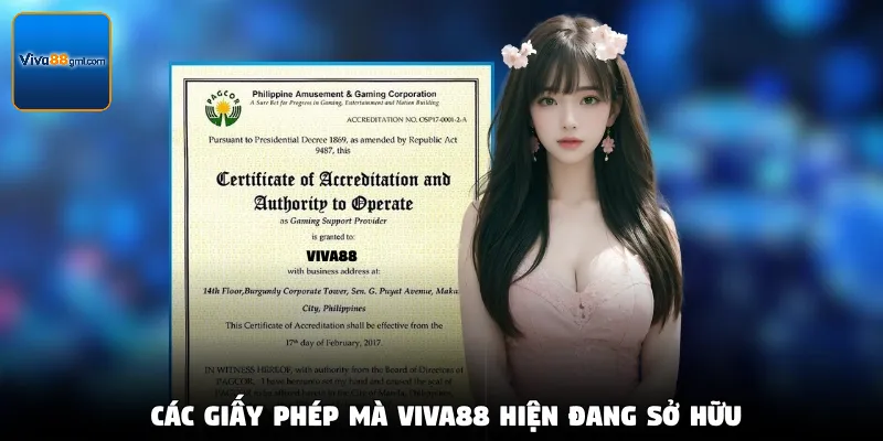 Thương Hiệu Viva88 - Khám Phá Giấy Phép Và Sứ Mệnh Cốt Lõi 2 Các giấy phép mà Viva88 hiện đang sở hữu