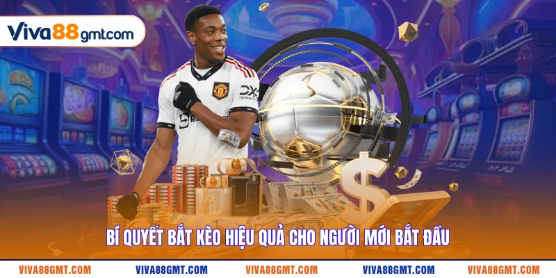 Bí quyết bắt kèo hiệu quả cho người mới bắt đầu
