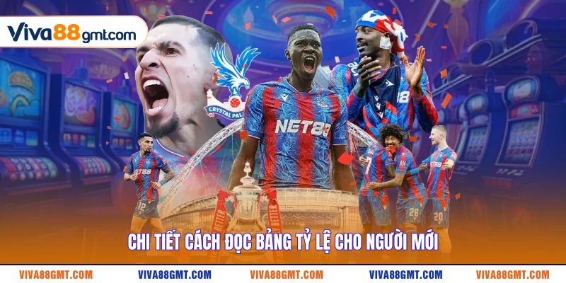 Chi tiết cách đọc bảng tỷ lệ cho người mới
